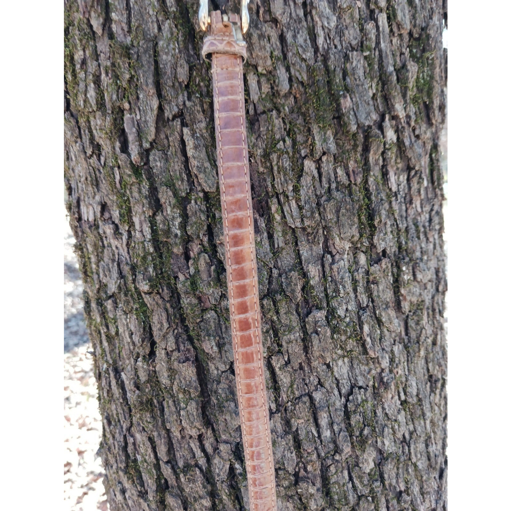 Snakeskin belt